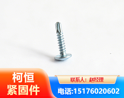 普洱华司钻尾丝